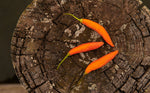 Aji Mango