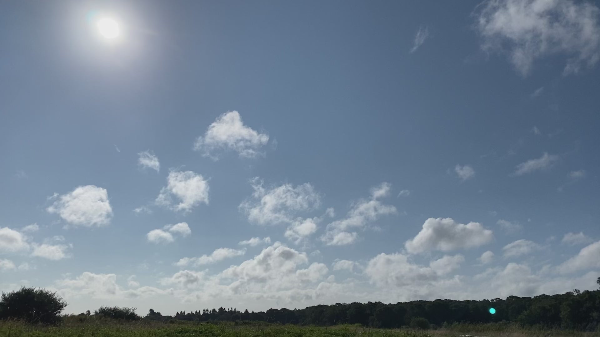 Load video: Tesuque in the field
